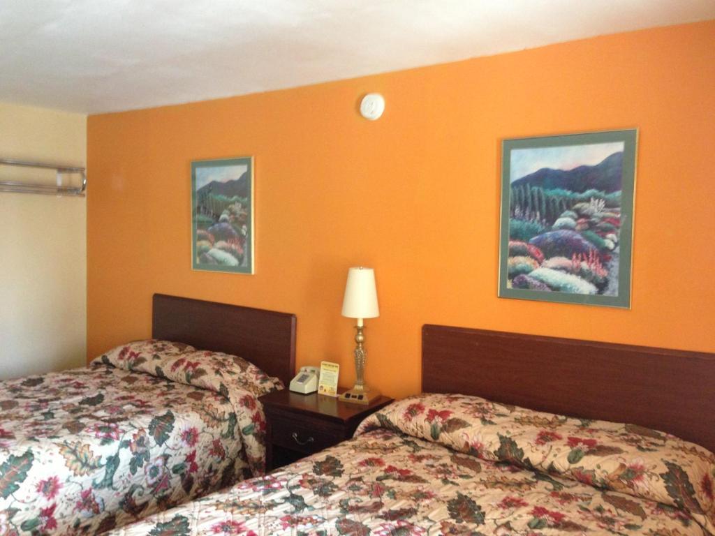 Cadet Motor Inn - Coldwater Værelse billede